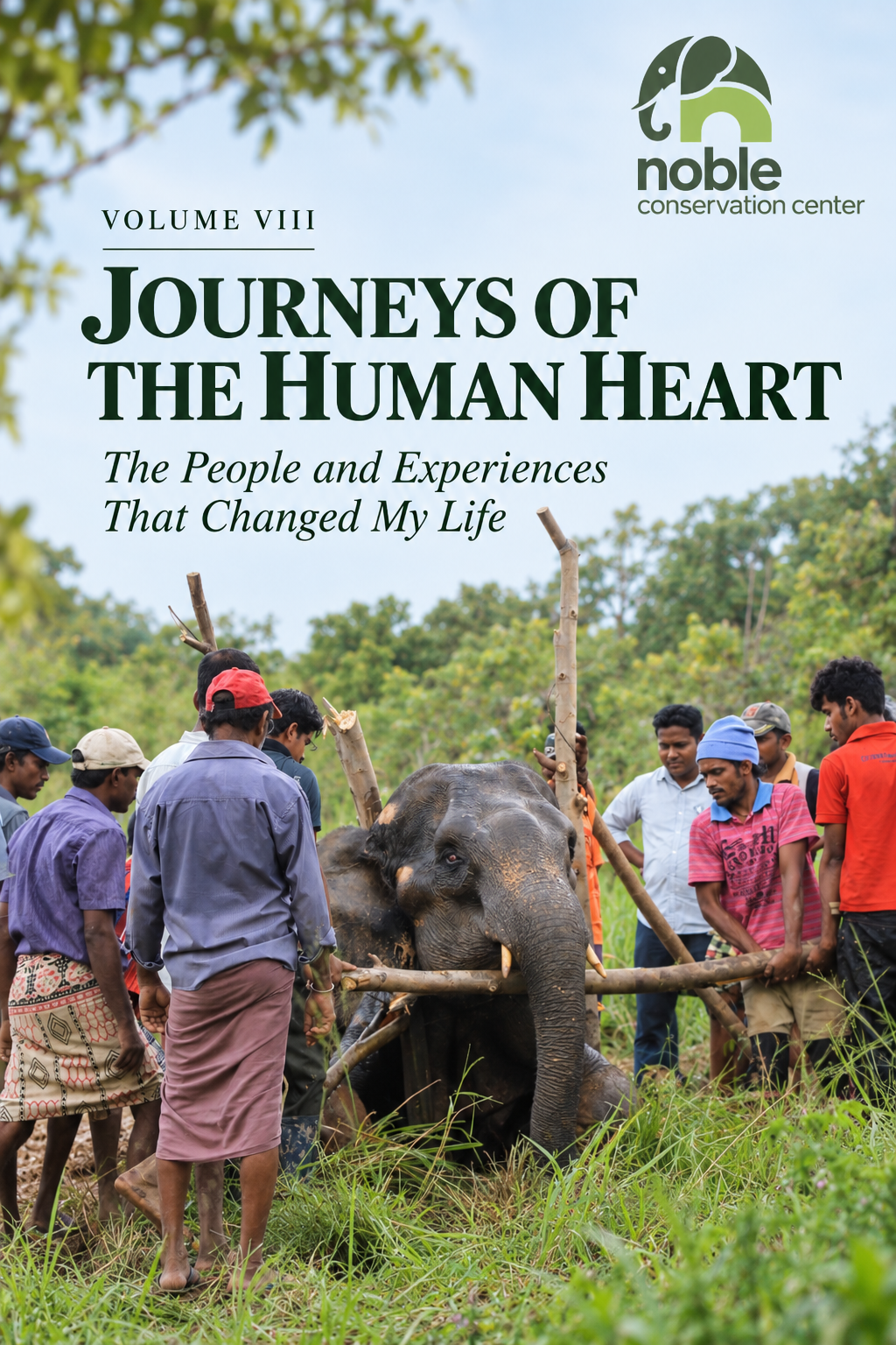 Journeys of the Human Heart book cover